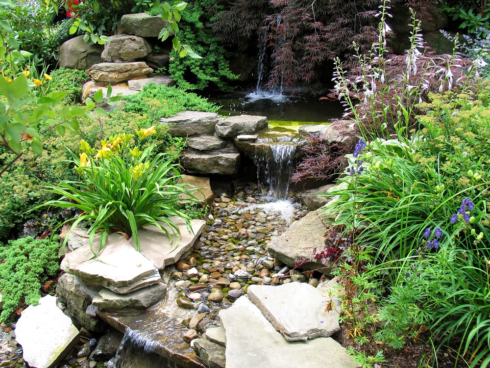 How To Design Pond Water: Features And Decoration