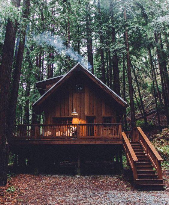 25+ Dreamy & Cozy Cabins You Will Want To Visit This Year from architecture category