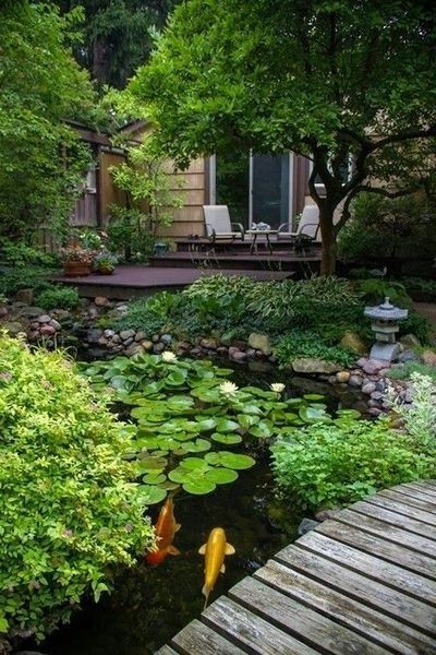 46 Dazzling Backyard Pond Ideas from garden category