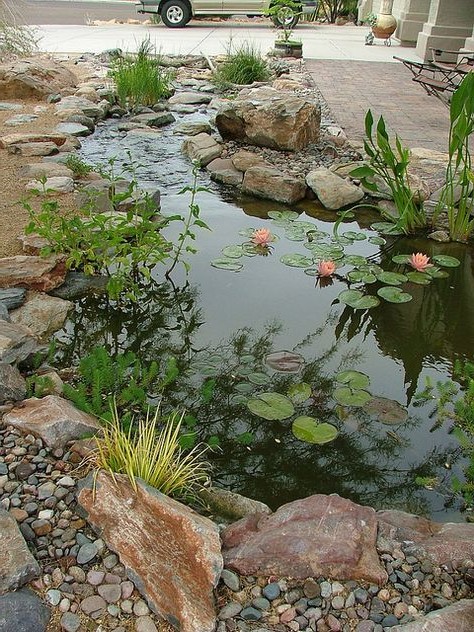 46 Dazzling Backyard Pond Ideas - Page 4 of 46 - LAVORIST