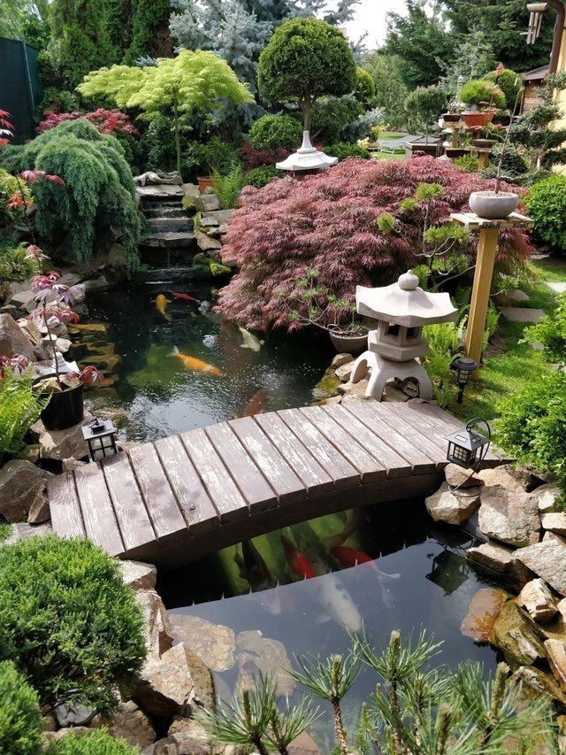 46 Dazzling Backyard Pond Ideas from garden category