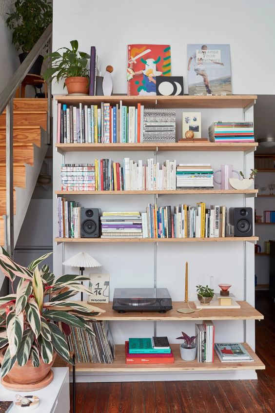 Where to Put Bookshelf in Your Place [Ultimate Guide]
