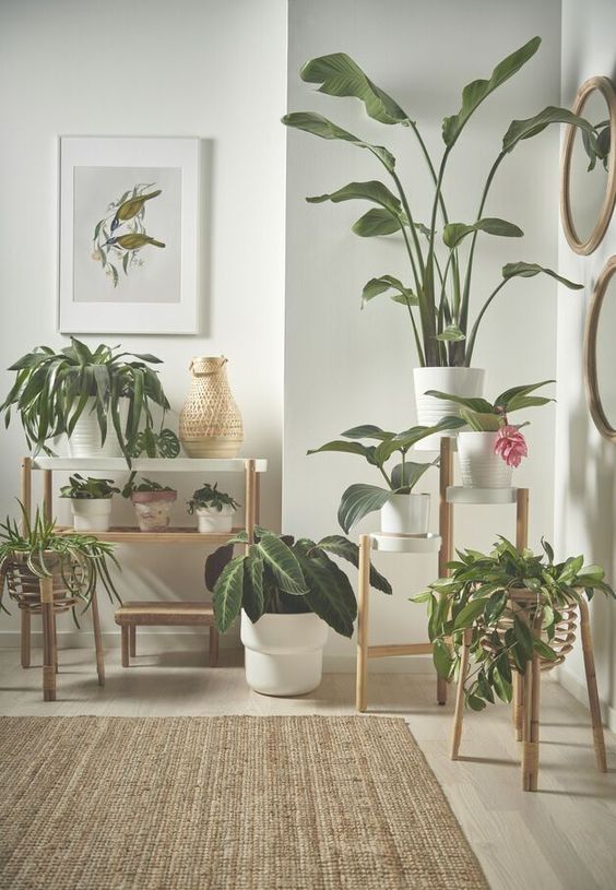 49 Plant Decor Ideas for Instant Green Bliss from home-decor category