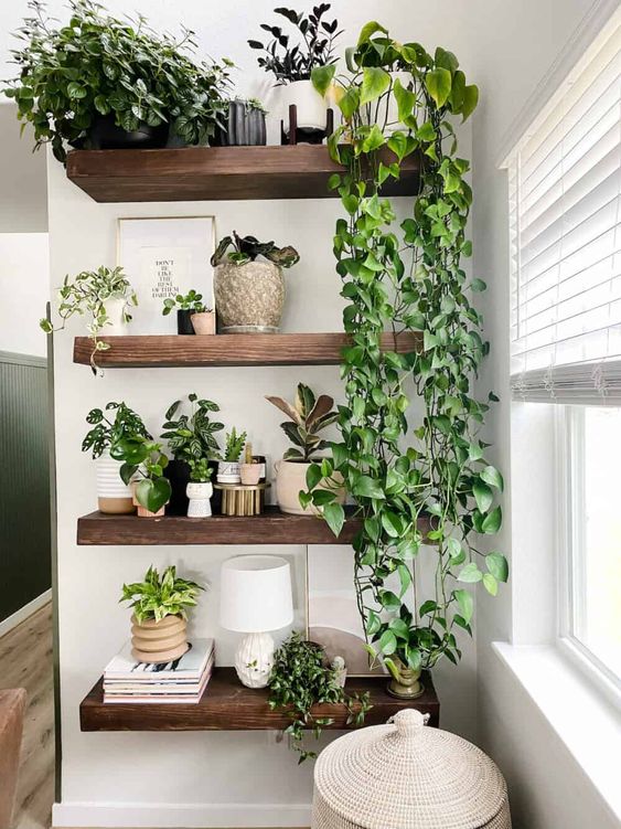 49 Plant Decor Ideas for Instant Green Bliss