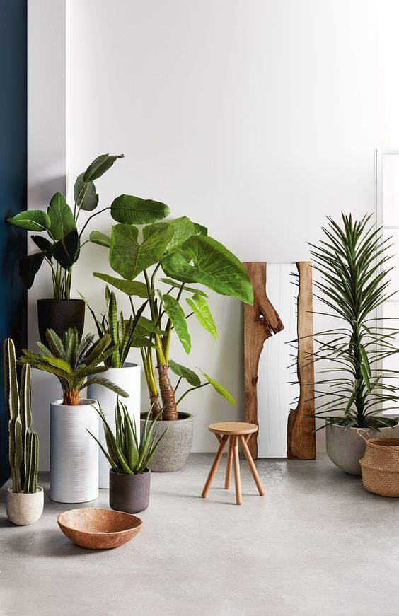 49 Plant Decor Ideas for Instant Green Bliss from home-decor category