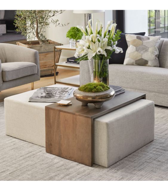 When You Can Have Coffee Table Over Ottoman? from home-decor category